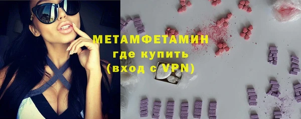 сатива Волоколамск